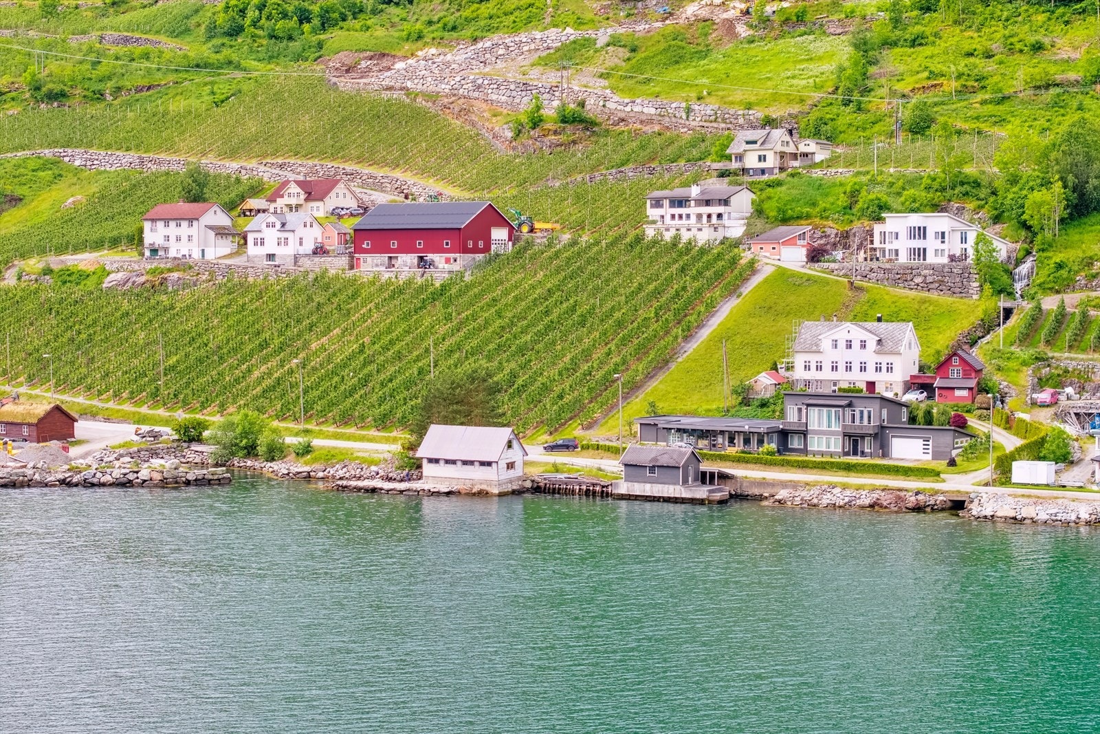 Velkommen til visning! Galleribilde