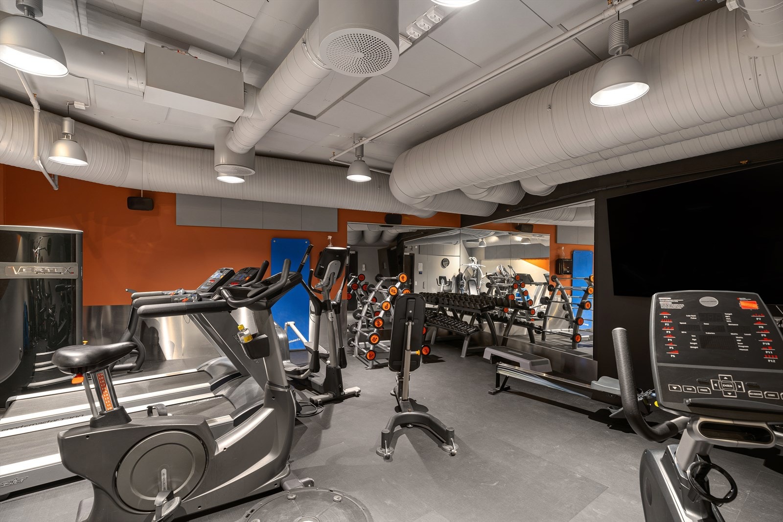 Moderne treningsrom med topp utstyr. Perfekt for en aktiv livsstil. Galleribilde