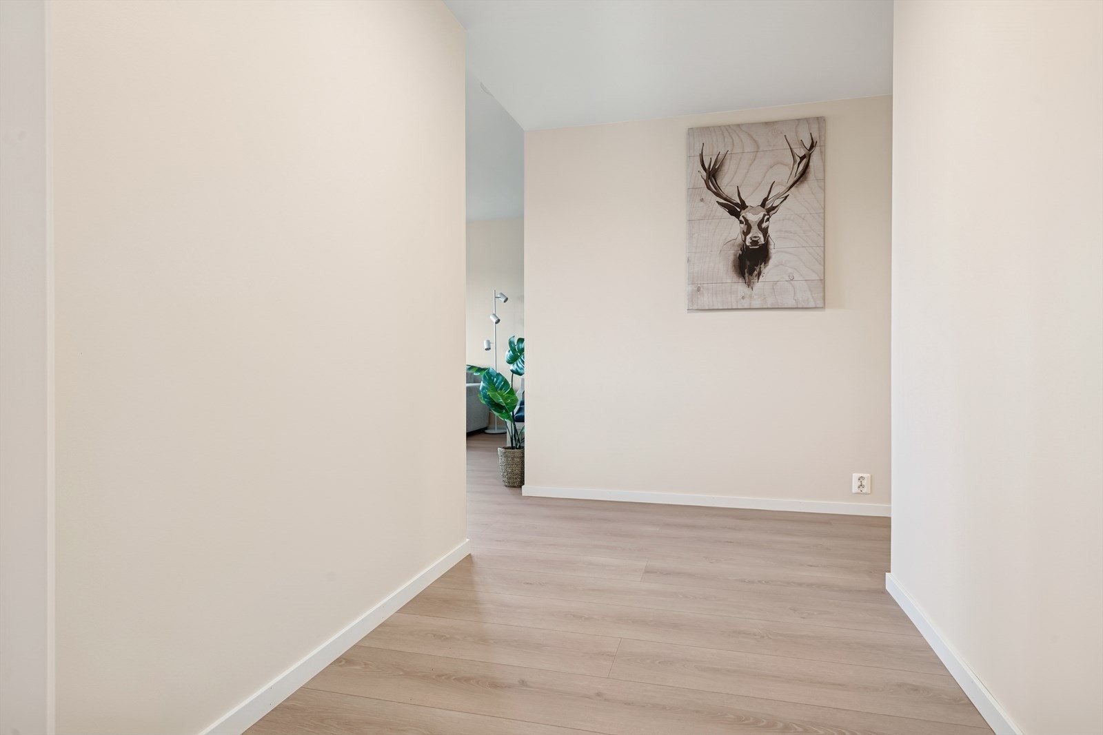 Velkommen inn. Gangen er lys og romslig. Galleribilde