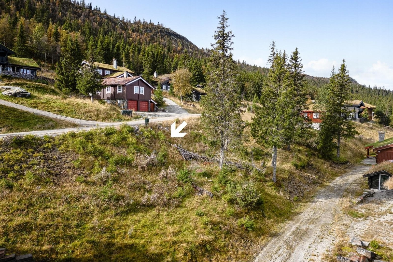 Det er supre solforhold. Galleribilde