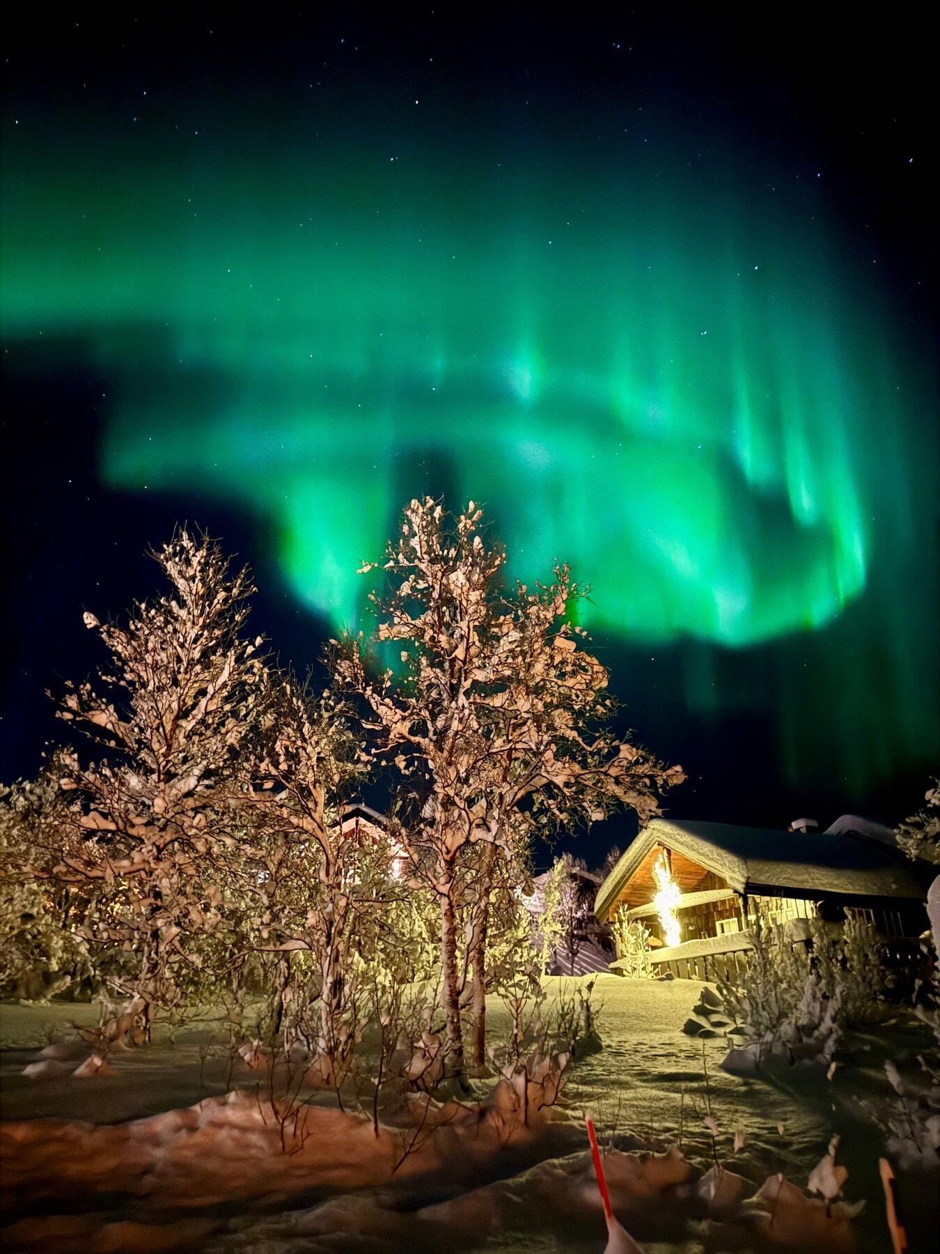 Gled deg til fine mørketidskvelder med nordlys, og lange sommernetter med midnattssol i idylliske og rolige omgivelser. Galleribilde