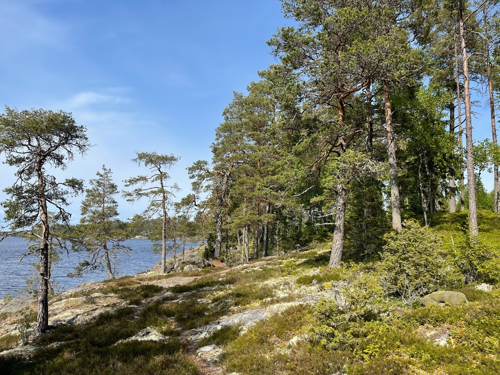 Bilde tatt fra strandlinjen rett nedenfor hyttefeltet Galleribilde