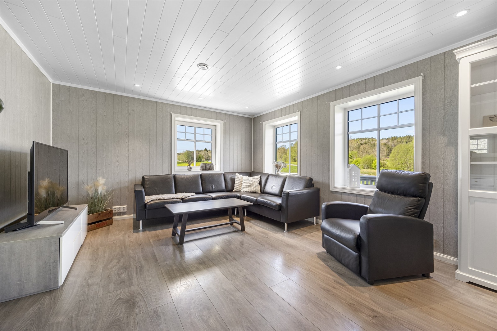 TV-stue Galleribilde