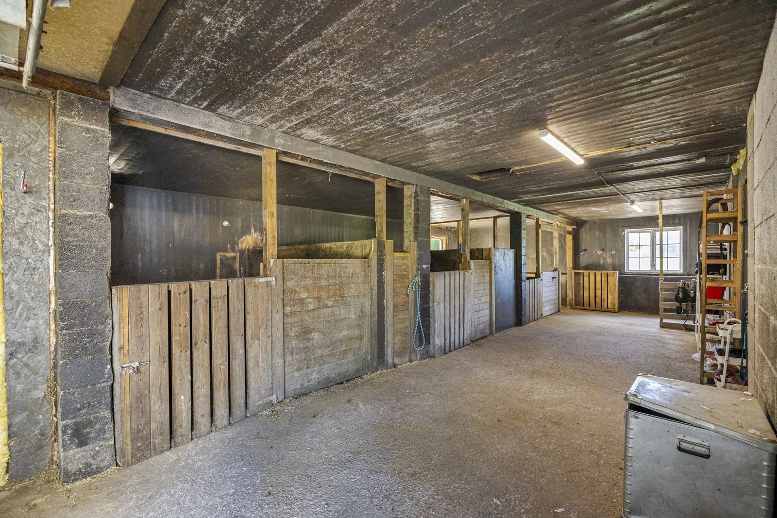 Stall med fire bokser og god plass til utstyr. Galleribilde