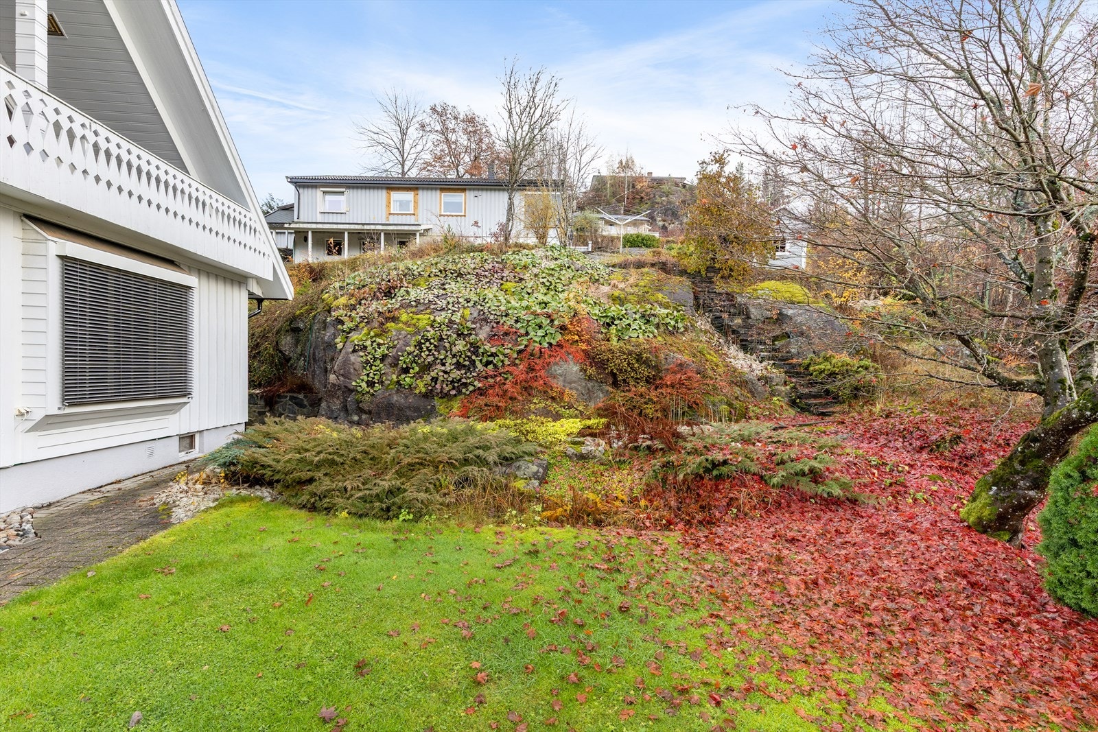 Bakhage med naturtomt og beplantning som gir en lun og privat atmosfære Galleribilde