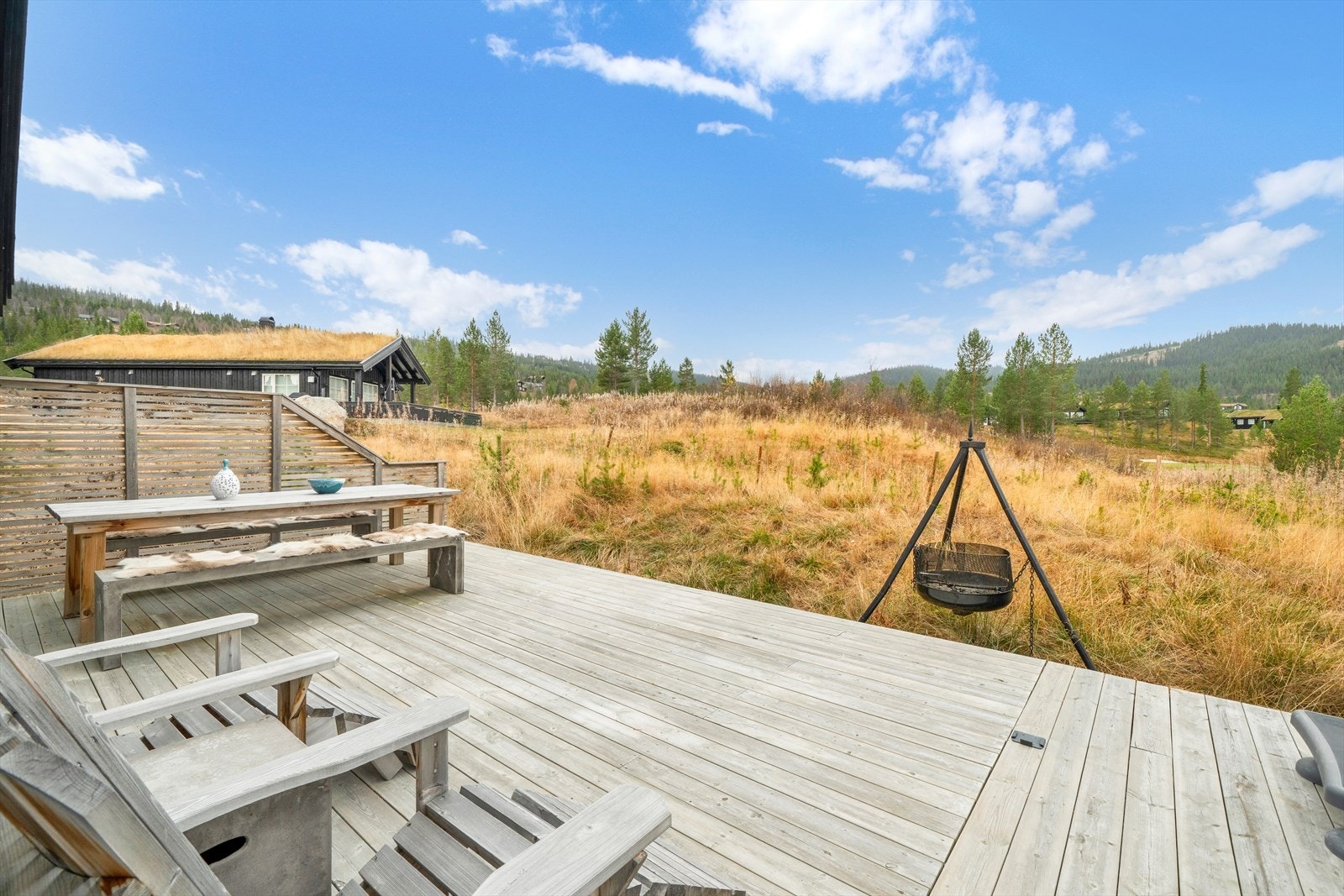 Gode solforhold. Galleribilde