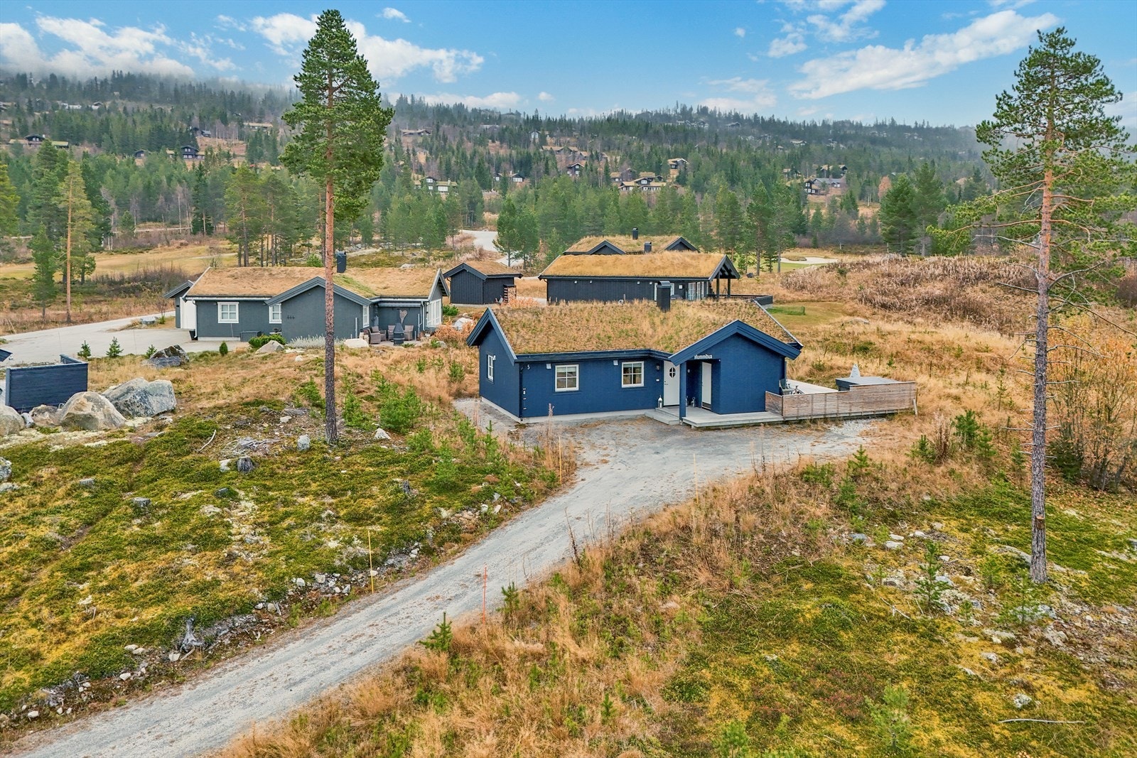 Tomten er naturtomt med lett skrånende terreng og stedvis vegetasjon bestående av lyng, gress, mose og små furutrær. Galleribilde