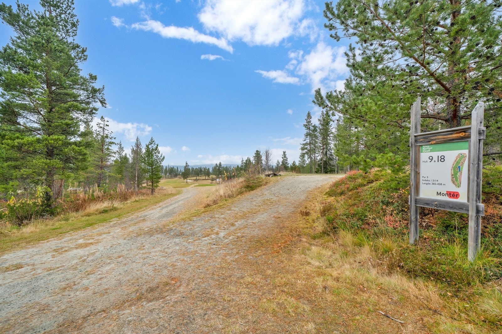 Nesfjellet Golf 1. Galleribilde