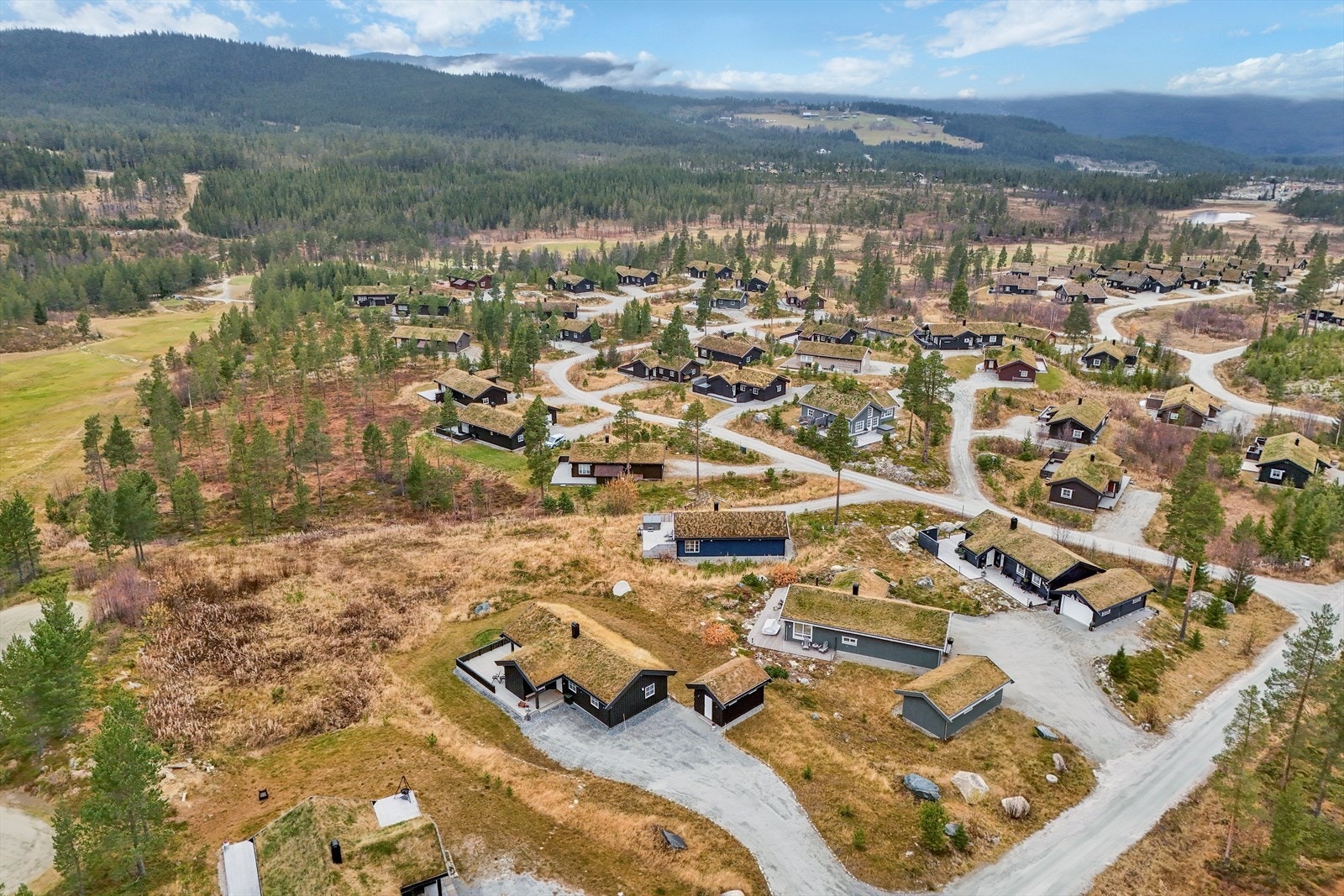 Sentral beliggenhet. Galleribilde