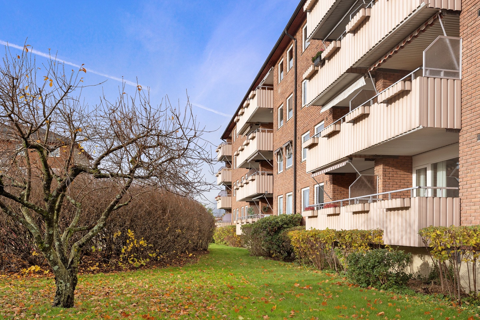 Fasade. Galleribilde