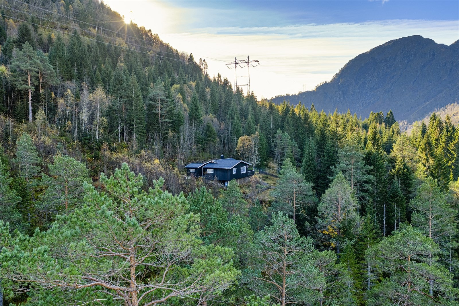 Velkommen til en hyggelig visning! Galleribilde
