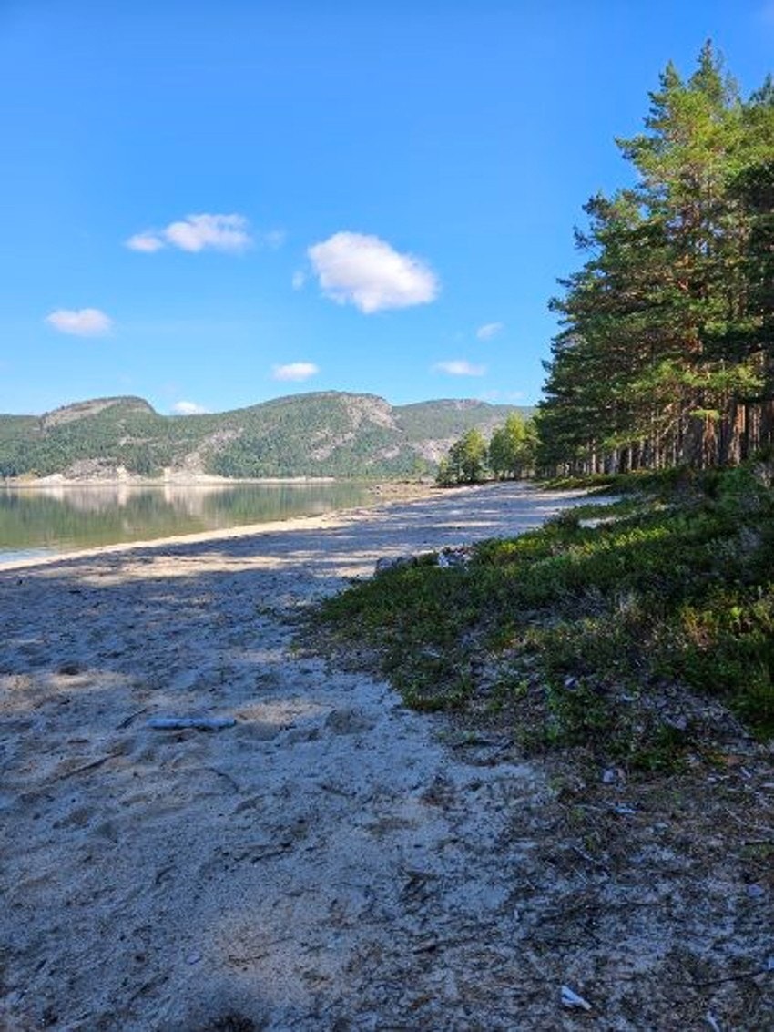 Bjønntjønn Galleribilde