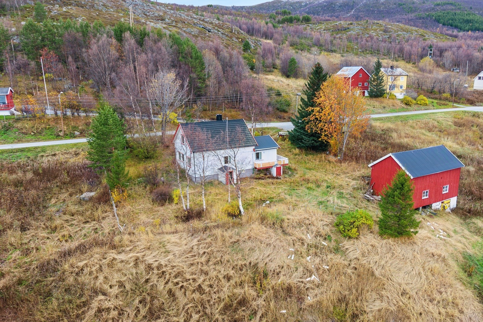 Her bor du omkranset av vakker natur. Galleribilde