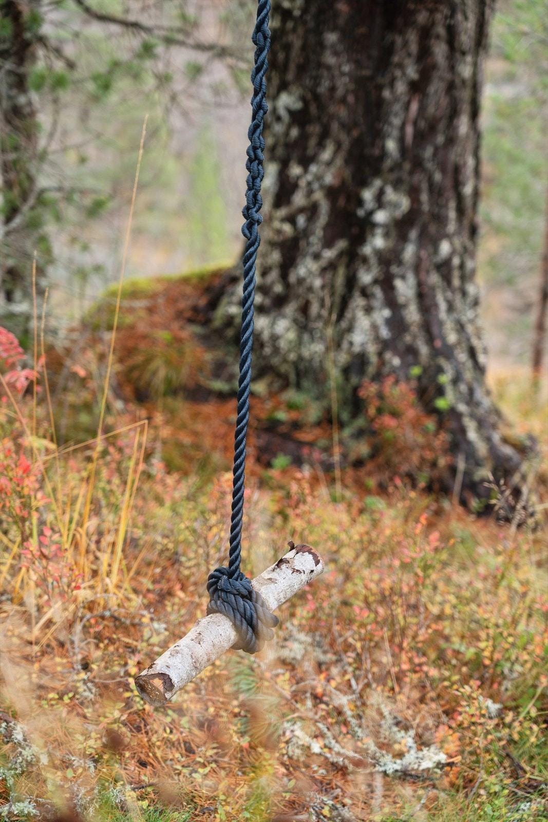 tresvinge Galleribilde