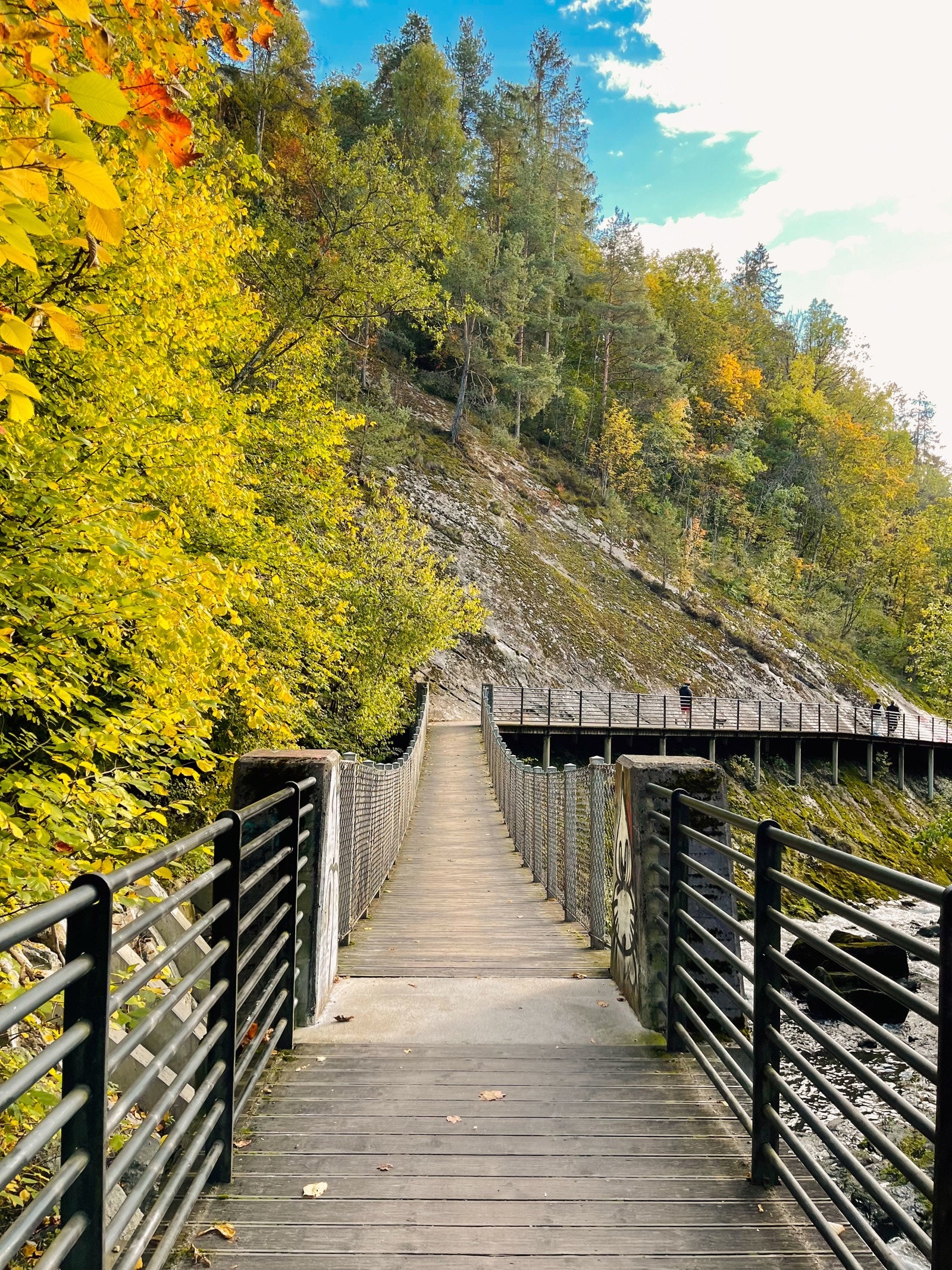 Svartdalen. Galleribilde