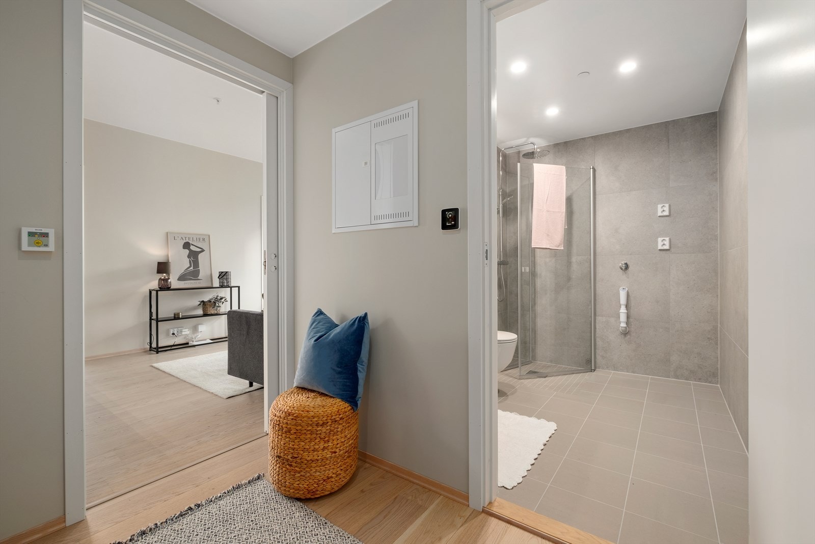 Entré på 4kvm med plass til klesoppheng. Galleribilde