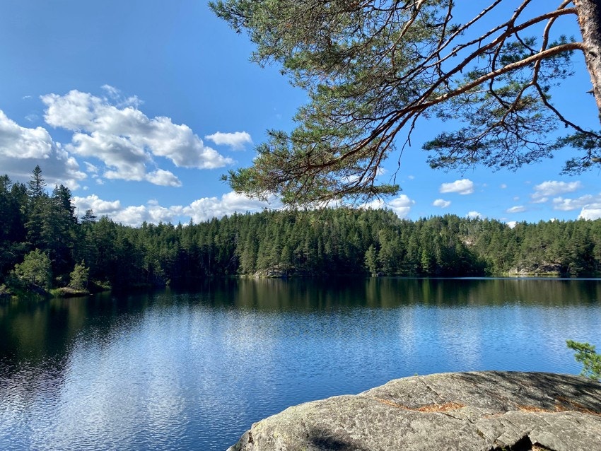 Nærmiljø: Tvittingen Galleribilde