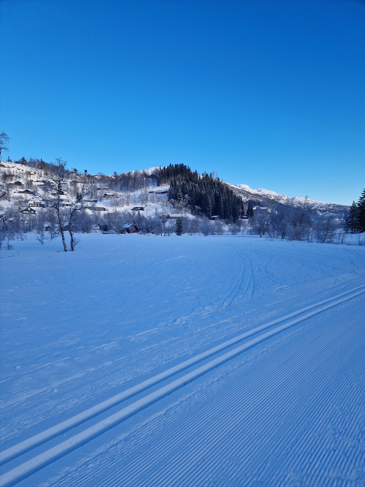 Det er flotte preparerte løyper i nærområdet og et løypenett på 60-70 km på Kvamskogen Galleribilde