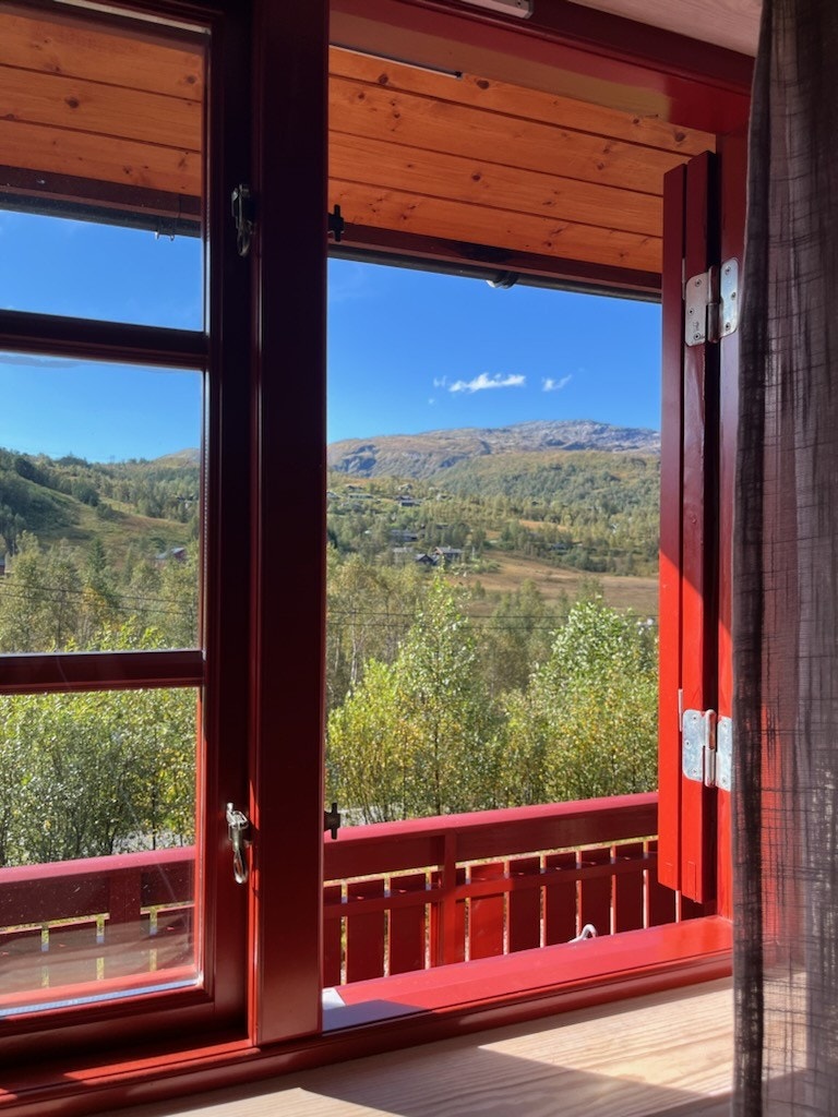 Utsikt mot Mødalen fra stuen Galleribilde