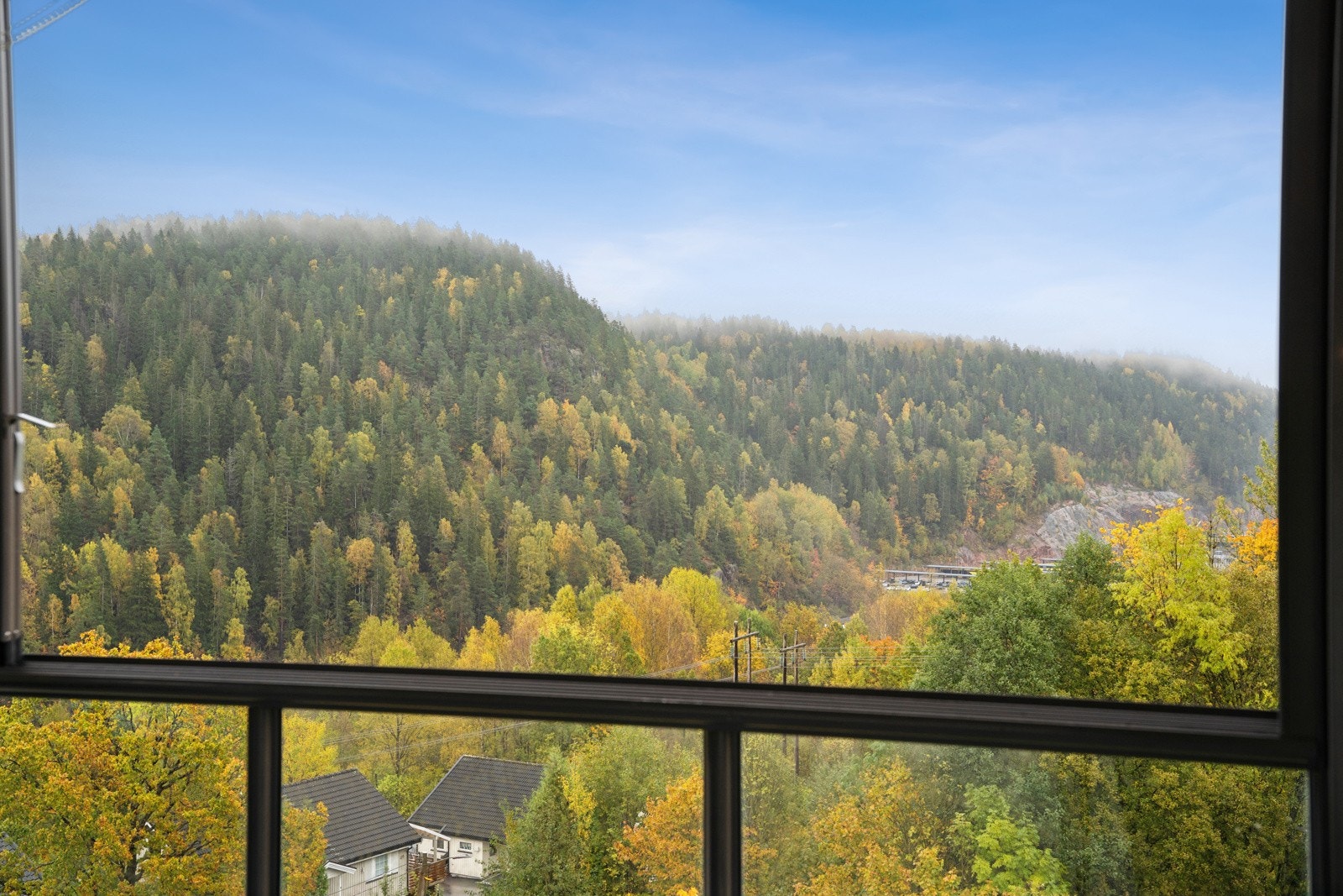 Utsikt. Galleribilde