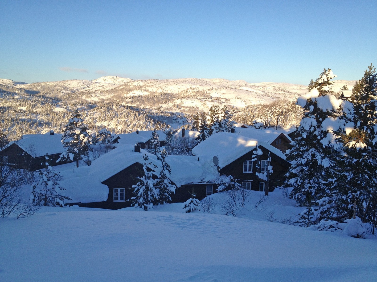 Vinterlandskap Galleribilde