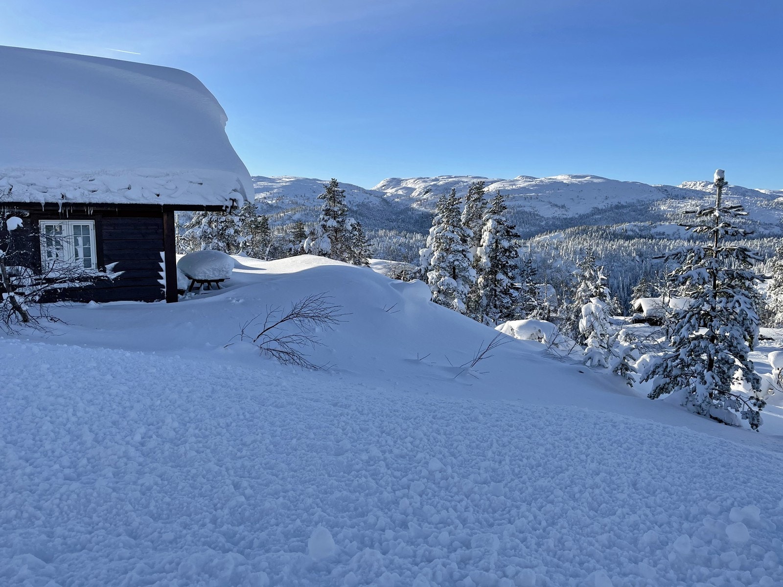 Vinterbilde Galleribilde