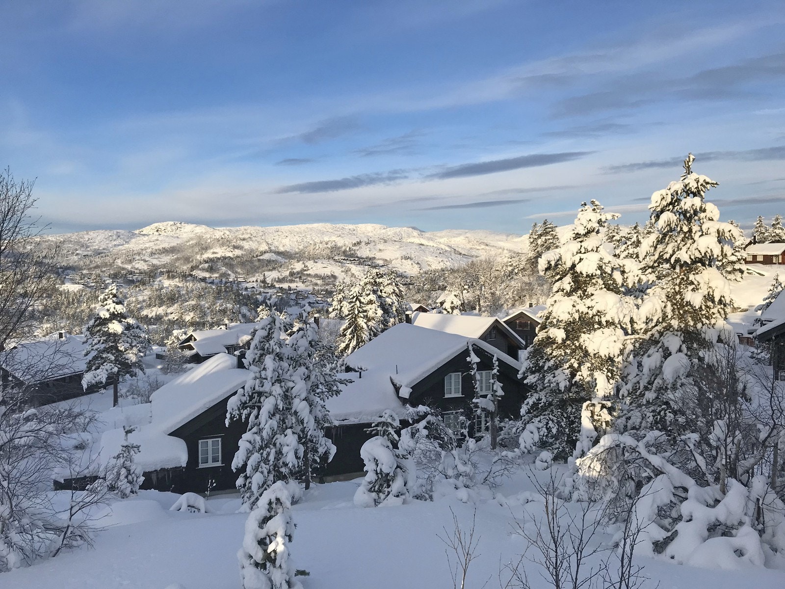 Vinterlandskap Galleribilde