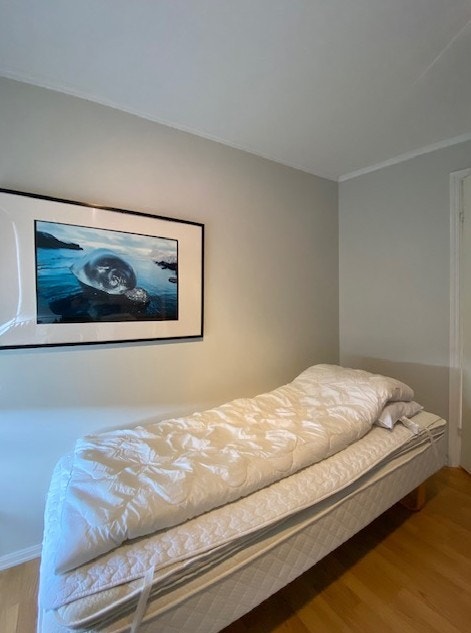 Soverom Galleribilde