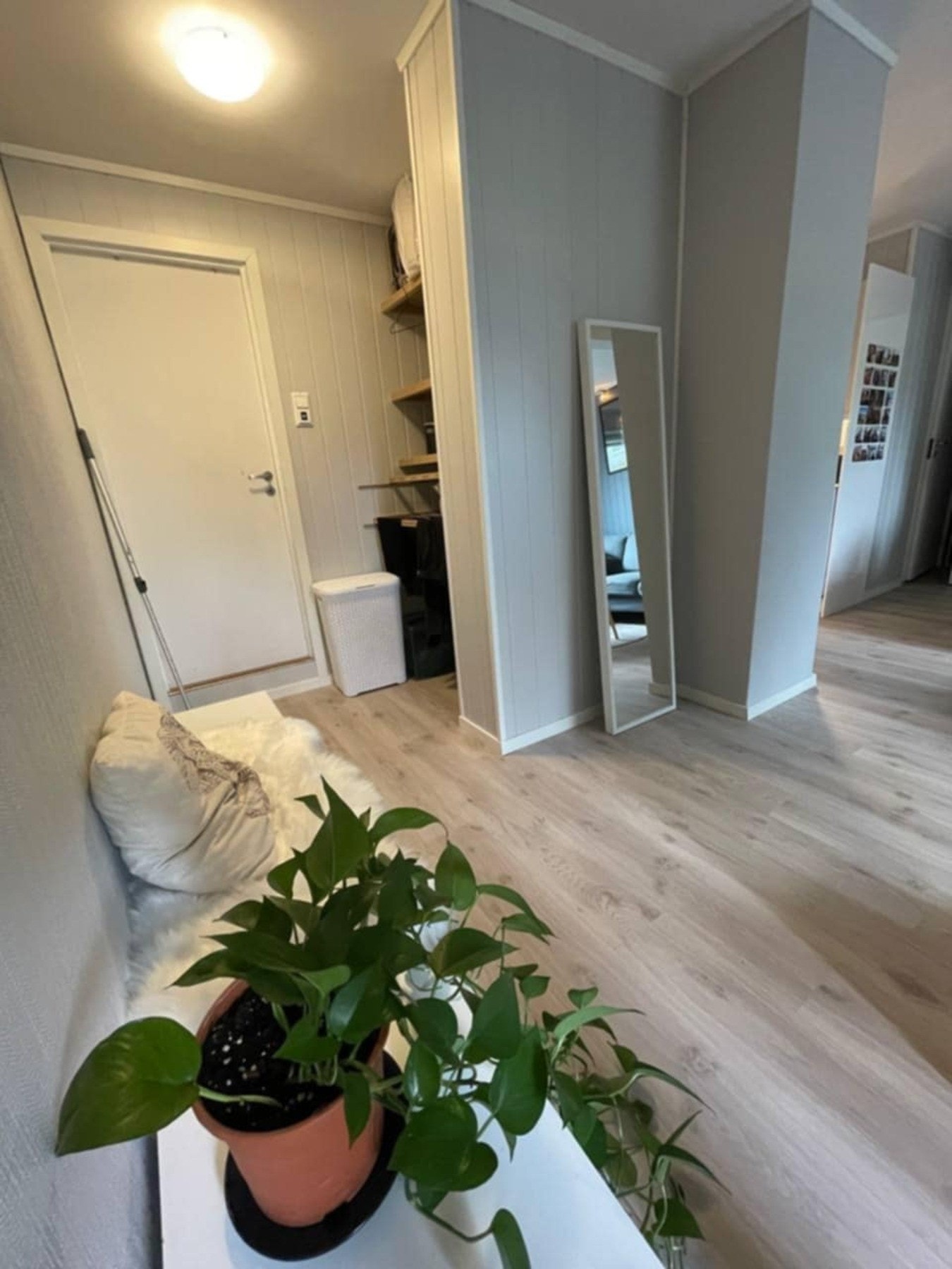 - Det er fin standard også her nede. Galleribilde