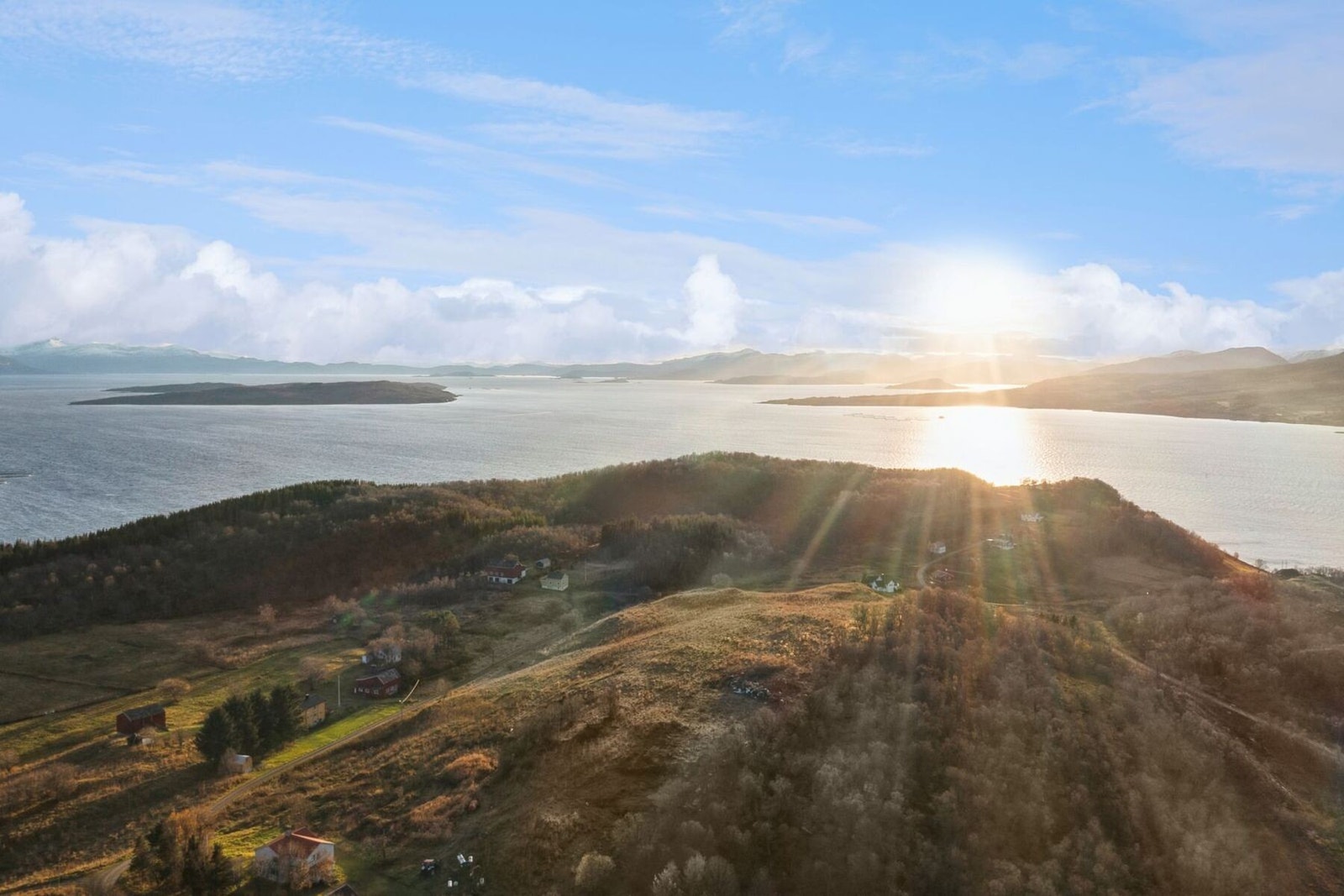 Velkommen til en trivelig visning! Galleribilde