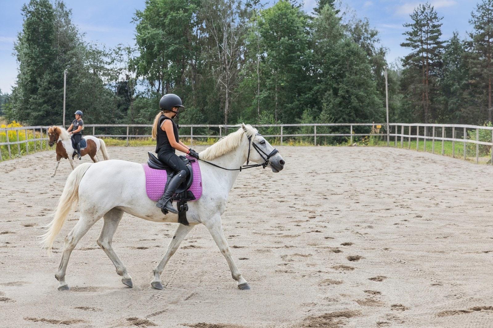 Ridebanen er gruset og på 20x60 meter. Selger har fått tillatelse til å sette opp ridehall her ute. Galleribilde