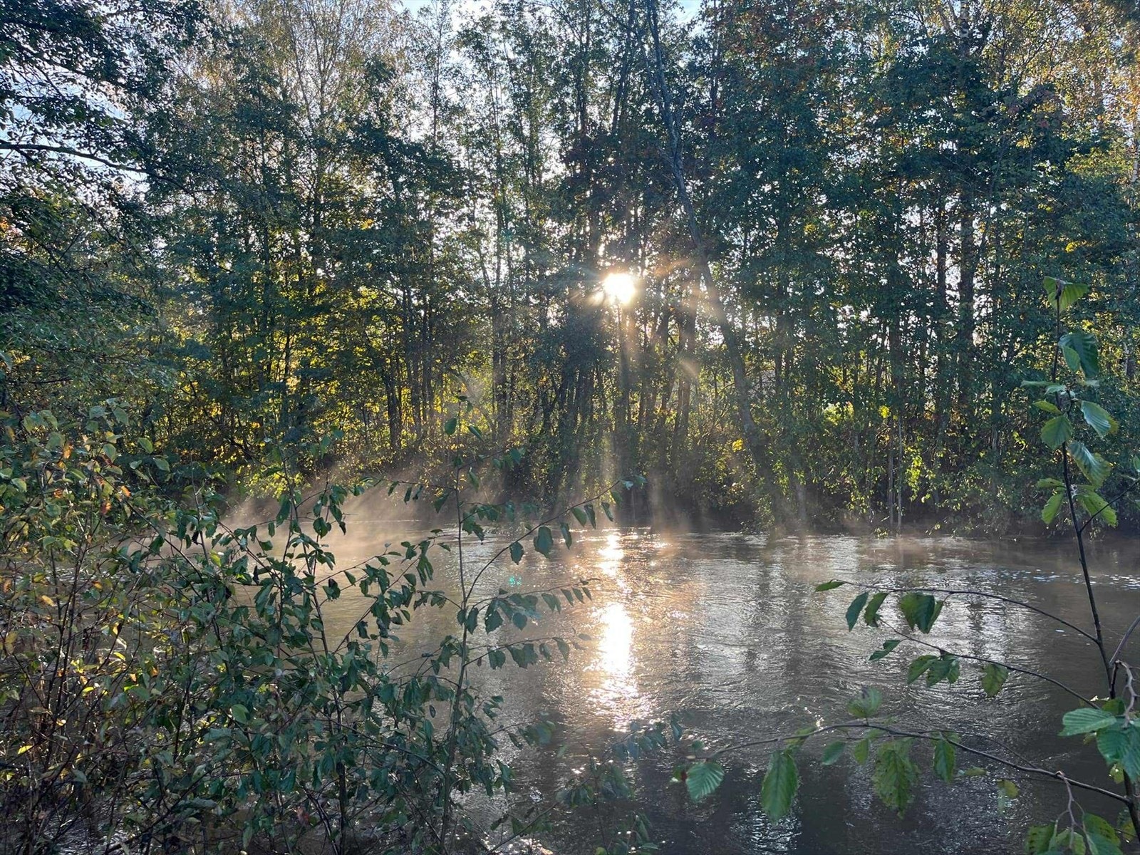 Er du fiskeinteressert er det ypperlig å kunne stå å kose deg her nede. Galleribilde