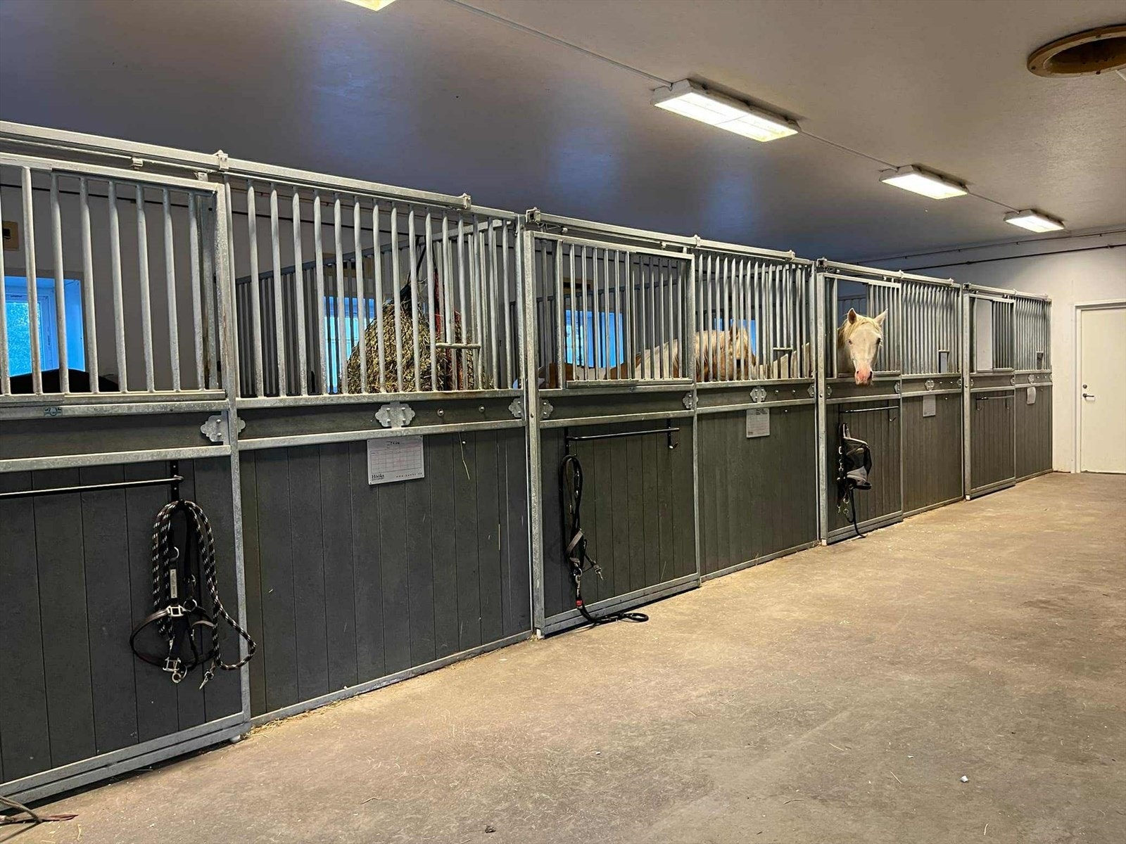 Stallgangen er bred og romslig og det er god plass til å sette hesten på midtgangen å stelle, eller når hovslager kommer, så vil han/hun ha god plass til skoing. Galleribilde