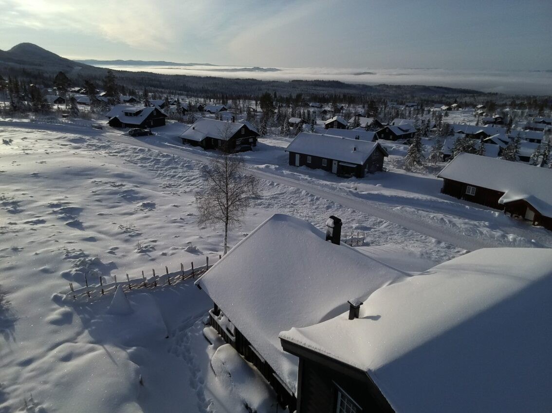 Selgers egne bilder - Vinter Galleribilde