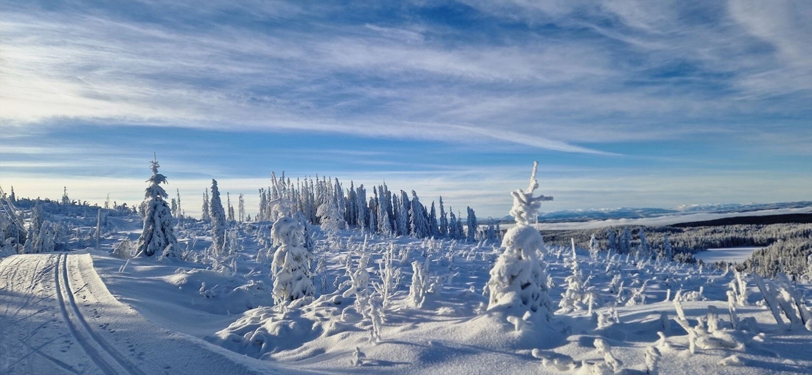 Selgers egne bilder - Lygna sitt løypnett, totalt ca. 190 km, som kjøres av Øståsen Skiløyper, er kjent for sin gode kvalitet og preparering. Galleribilde