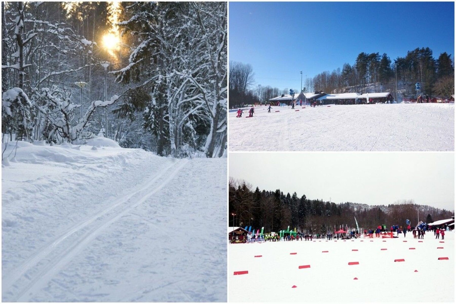 Vinterstid er det flotte preparerte skiløper i Østmarka | Kort vei til skianlegg ved Skullerudstua Galleribilde