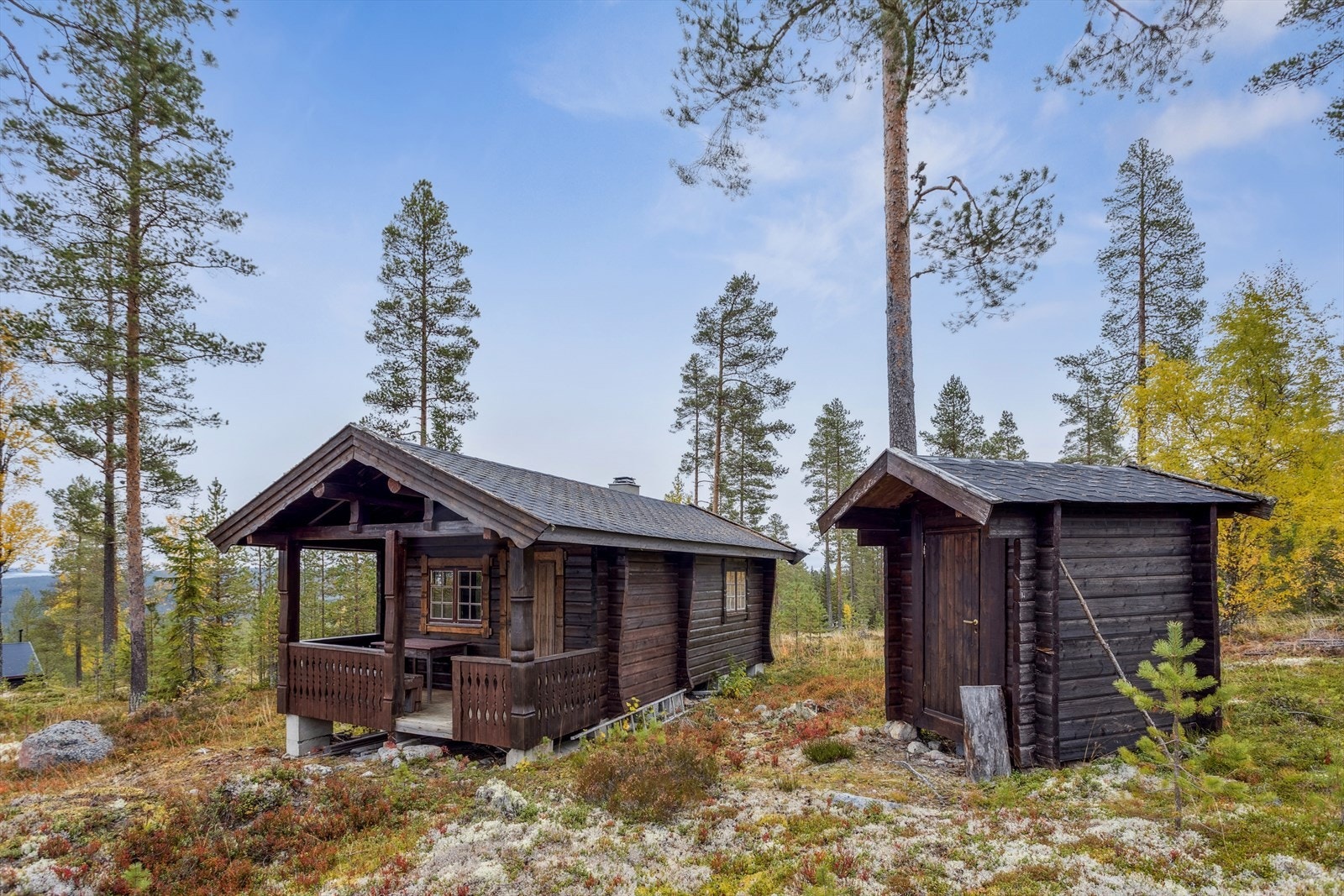 Velkommen til Oslia 60! Galleribilde