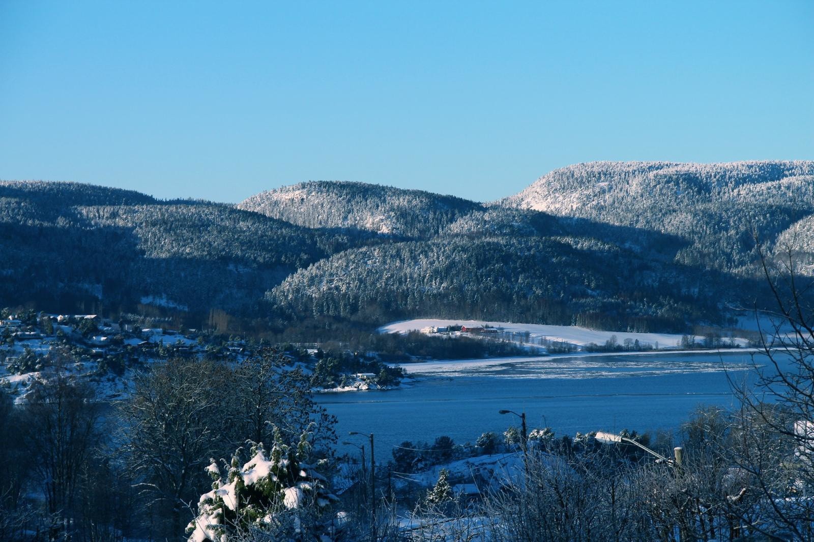 Selgers private bilde Galleribilde