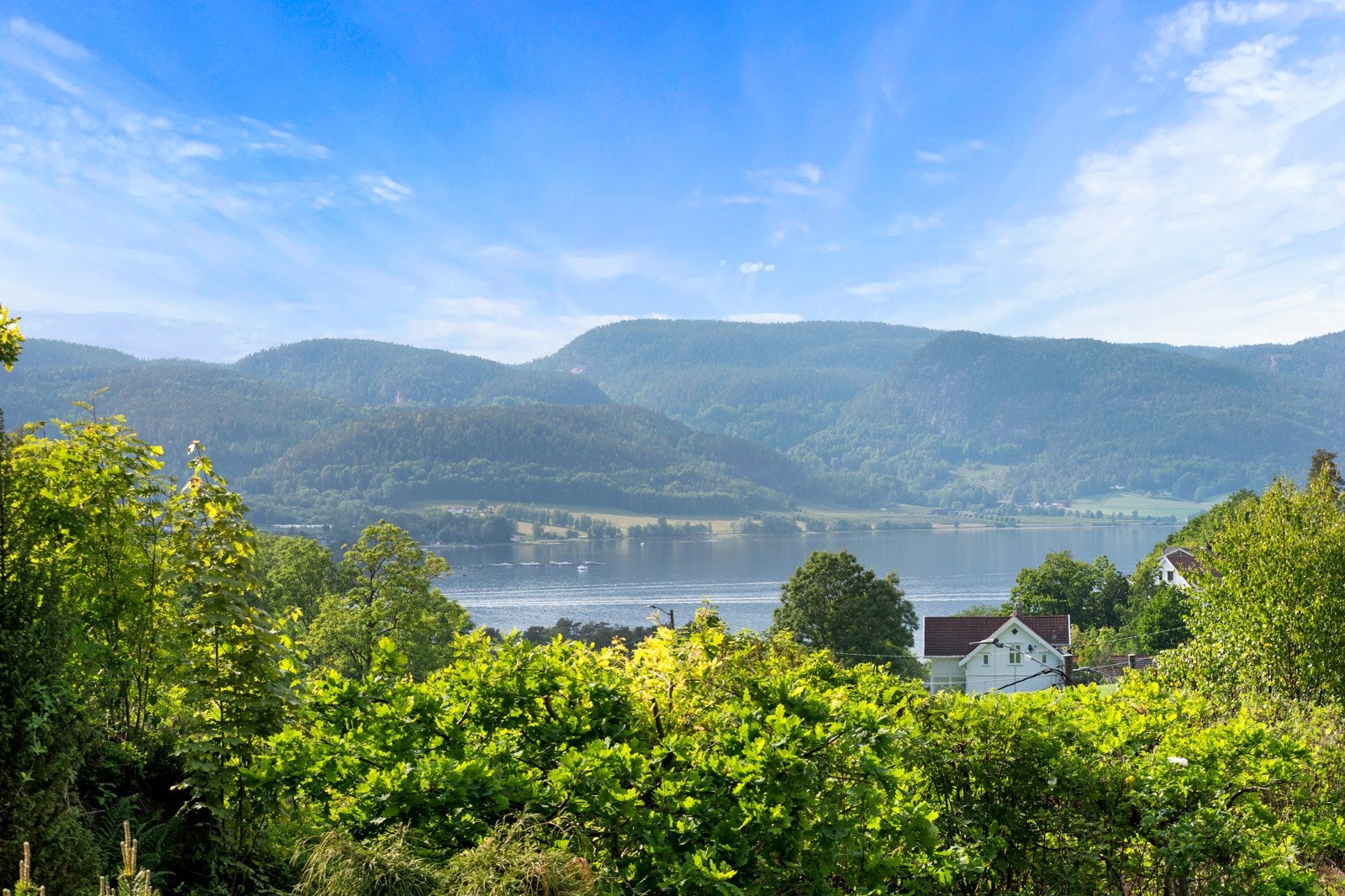 Fra eiendommen har du utsikt ned mot fjorden Galleribilde