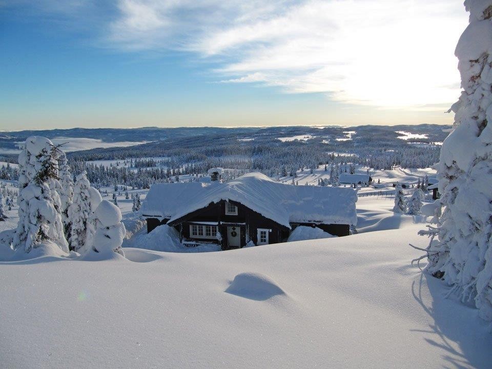 Nydelig utsikt Galleribilde