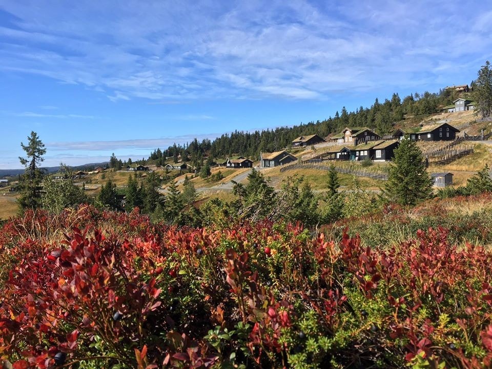 Utsikt over hyttefeltet Galleribilde