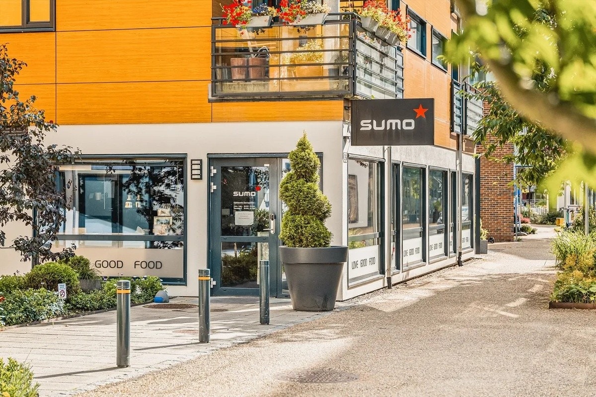SUMO Damsgård Galleribilde