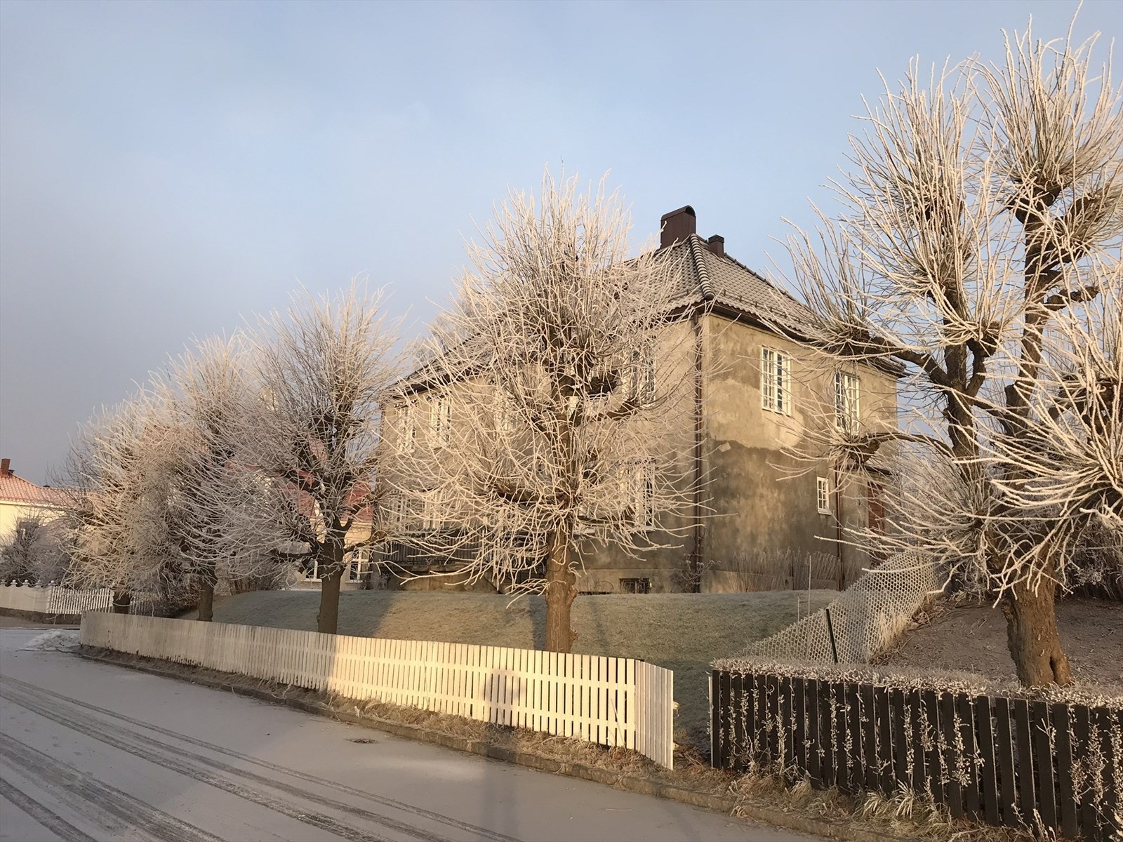 Selgers private bilde. Galleribilde