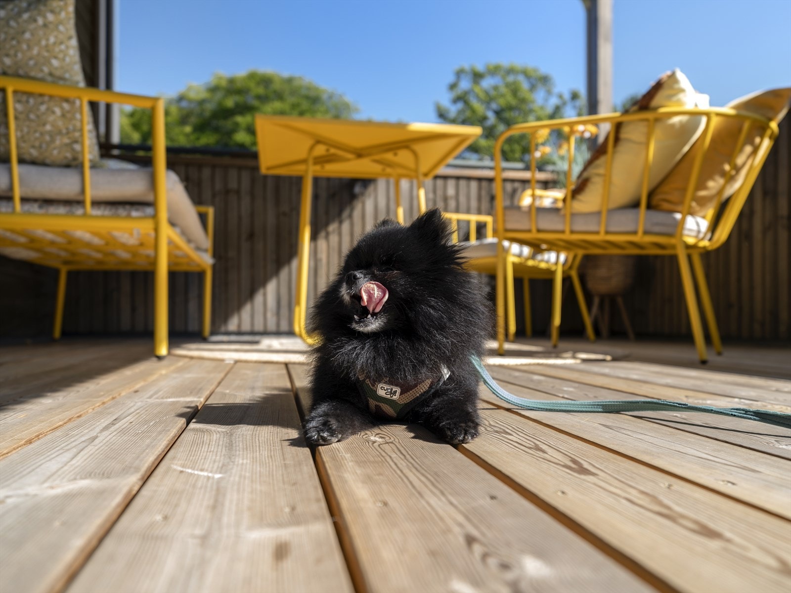 Dette er uten tvil en skikkelig fin plass for både to- og firebeinte på varme sommerdager! Galleribilde