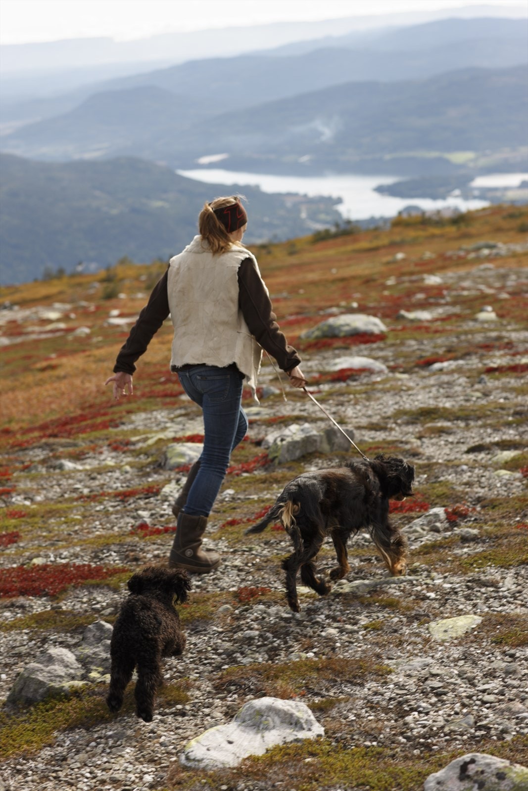 Norefjell - Høst Galleribilde