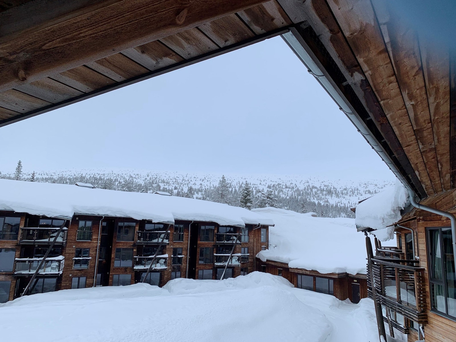 Deler av utsikten Galleribilde