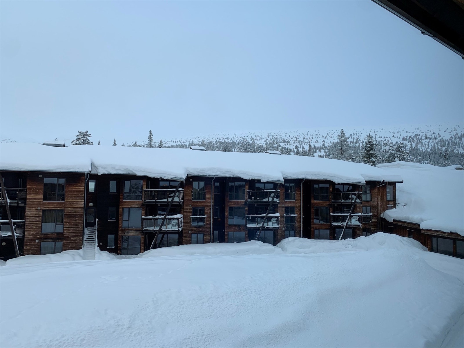 Over rekketun C har man fin utsikt mot Augunshaug og Danseflata Galleribilde