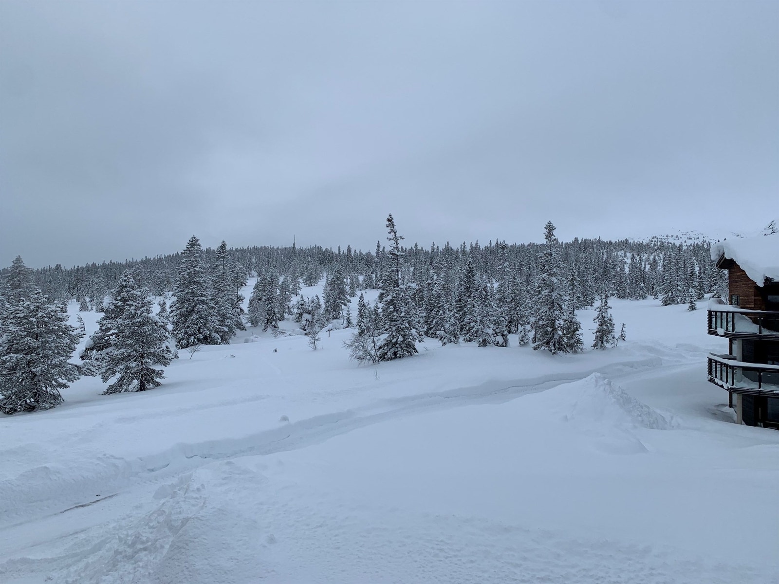 Fin utsikt mot storslagen natur fra balkongen og alle vinduene i leiligheten Galleribilde