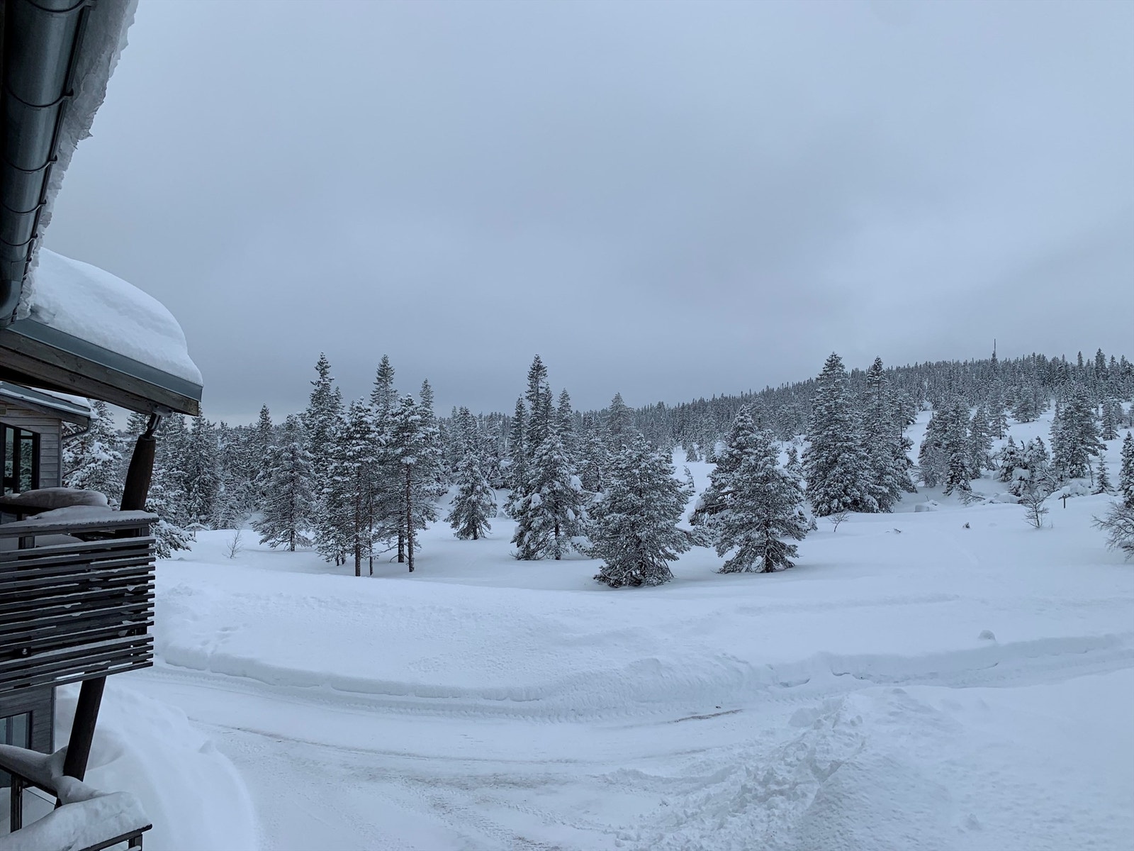 Utsikt mot vakker natur Galleribilde
