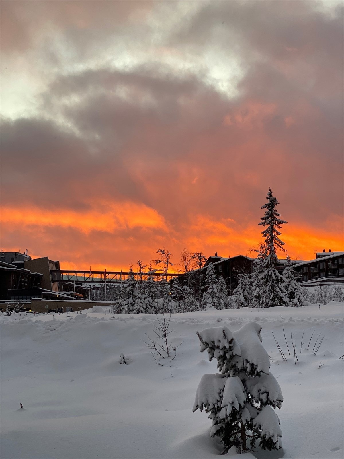 SkiStar Logde, kveldsbilde 1.jpg Galleribilde